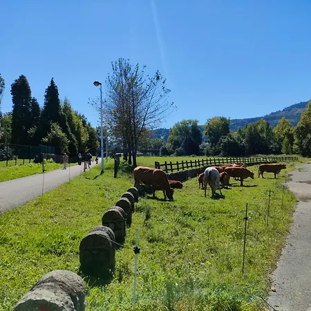 Atico De Valles Pasiegos-valles Pasiegos Penthouse