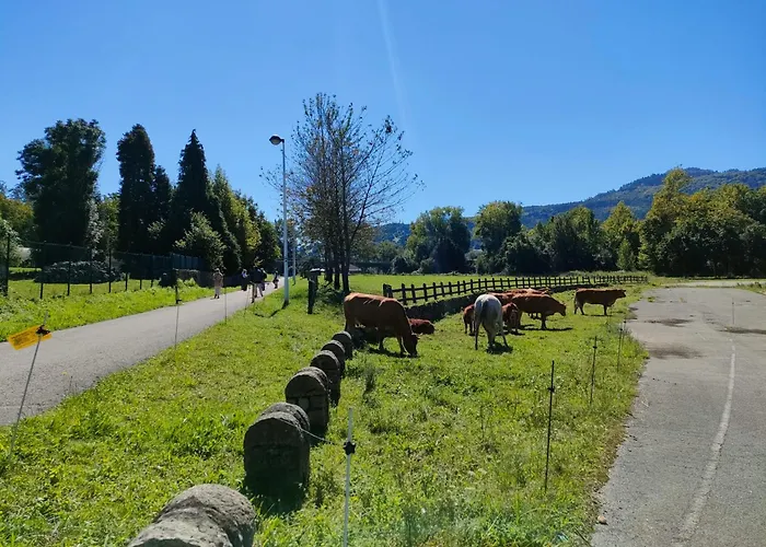 Atico De Valles Pasiegos-valles Pasiegos Penthouse